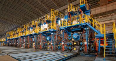 Hoa Phat to enter high-quality market for steel products in Vietnam