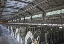 13DX aluminium technology improve performance at EGA’s smelter